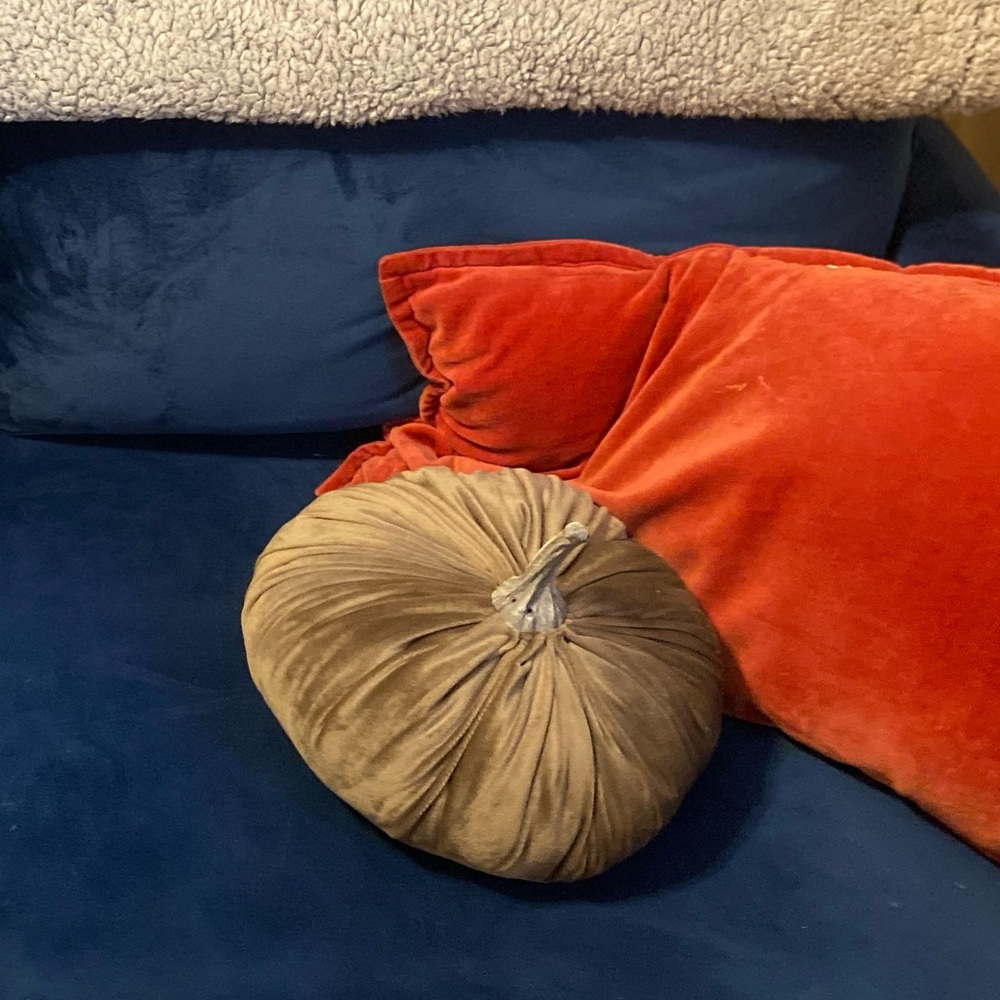 Grey cushion pumpkin!